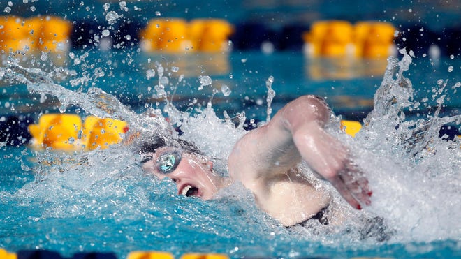 Missy The Missle Swim_Pata.jpg